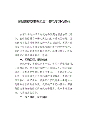 狠刹违规吃喝歪风集中整治学习心得体会.docx