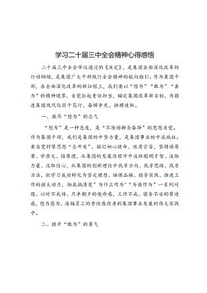 学习二十届三中全会精神心得感悟(4).docx
