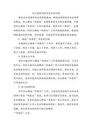 防止耕地非粮化存在的问题.docx