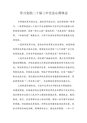 学习2024年学习党的二十届三中全会个人心得感悟 （3份）_58.docx