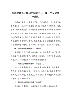 乡镇党委书记学习贯彻党的二十届三中全会精神感想.docx