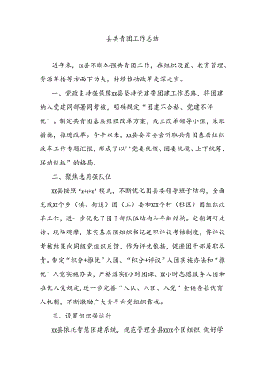 县共青团工作总结.docx