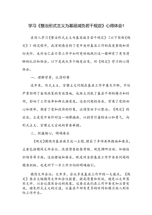 深入学习《整治形式主义为基层减负若干规定》心得体会感想4篇.docx