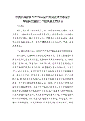 市委统战部长在2024年全市黄河流域生态保护专项民主监督工作座谈会上的讲话.docx