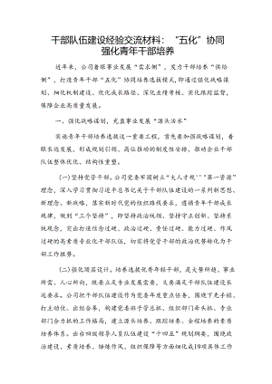 国企干部队伍建设经验交流材料：“五化”协同强化青年干部培养.docx