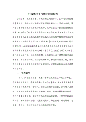 行政执法工作情况总结报告.docx