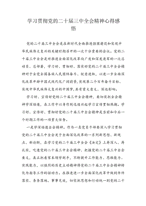 学习贯彻党的二十届三中全会精神心得感悟.docx