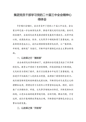 集团党员干部学习党的二十届三中全会精神心得体会.docx