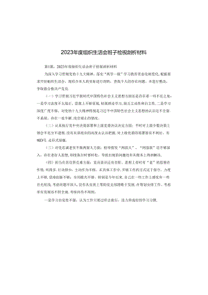 2023年度组织生活会班子检视剖析材料.docx