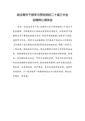 政法青年干部学习贯彻党的二十届三中全会精神心得体会.docx