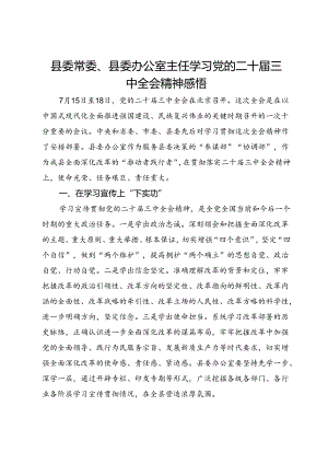 县委常委、县委办公室主任学习党的二十届三中全会精神感悟.docx