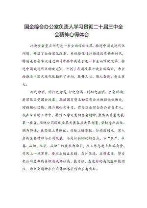 国企综合办公室负责人学习贯彻二十届三中全会精神心得体会.docx