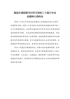 基层乡镇团委书记学习党的二十届三中全会精神心得体会.docx
