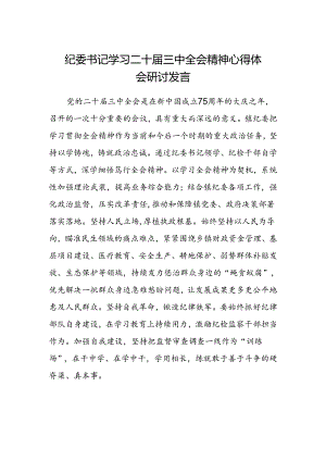 纪委书记学习二十届三中全会精神心得体会研讨发言.docx