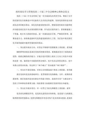 组织部长学习贯彻党的二十届三中全会精神心得体会范文.docx