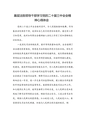 基层法院领导干部学习党的二十届三中全会精神心得体会范文.docx