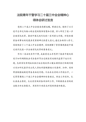 法院青年干警学习二十届三中全会精神心得体会研讨发言.docx