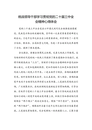 统战领导干部学习贯彻党的二十届三中全会精神心得体会.docx