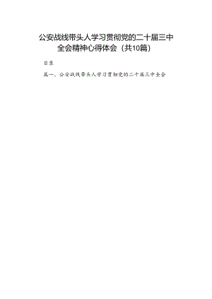 公安战线带头人学习贯彻党的二十届三中全会精神心得体会10篇（精选）.docx