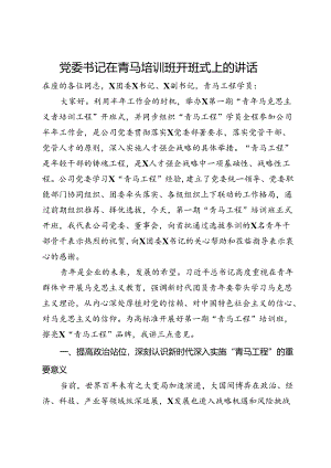 公司党委书记在青马培训班开班式上的讲话.docx