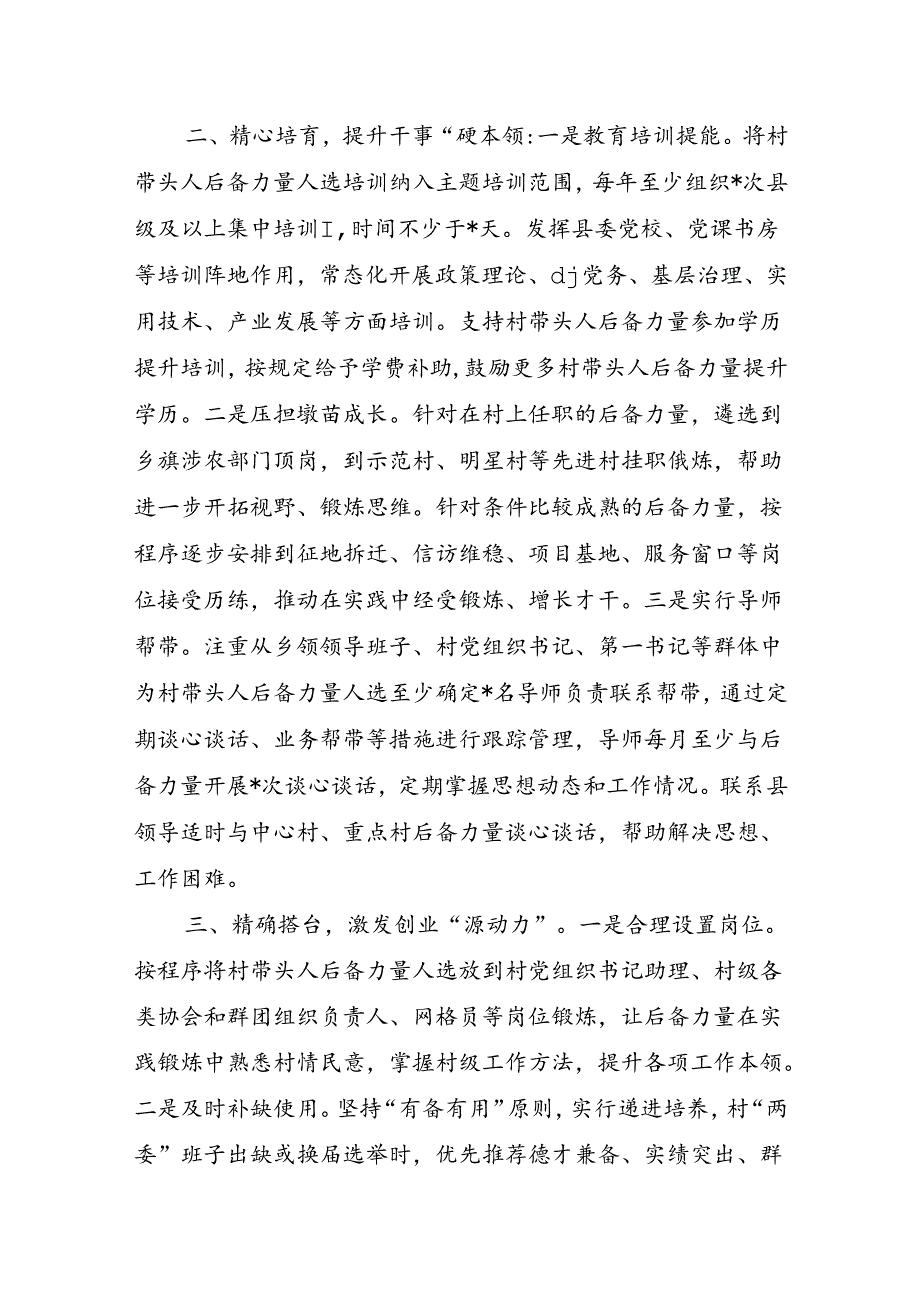 乡村人才亮点经验做法.docx_第2页