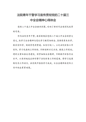 法院青年干警学习宣传贯彻党的二十届三中全会精神心得体会.docx