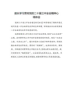 庭长学习贯彻党的二十届三中全会精神心得体会.docx