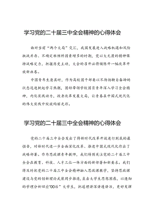 学习党的二十届三中全会精神的心得体会最新范文二十六篇.docx