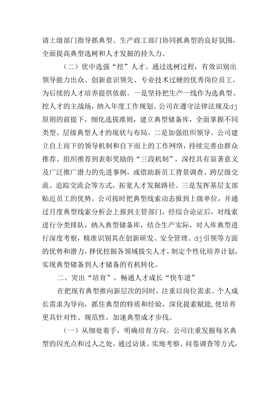 企业人才队伍建设工作总结.docx_第2页