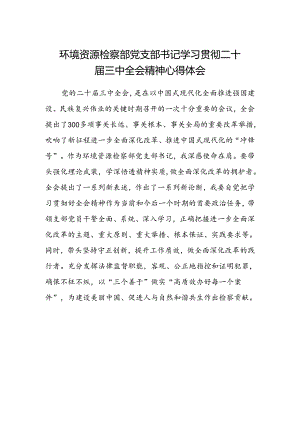 环境资源检察部党支部书记学习贯彻二十届三中全会精神心得体会.docx