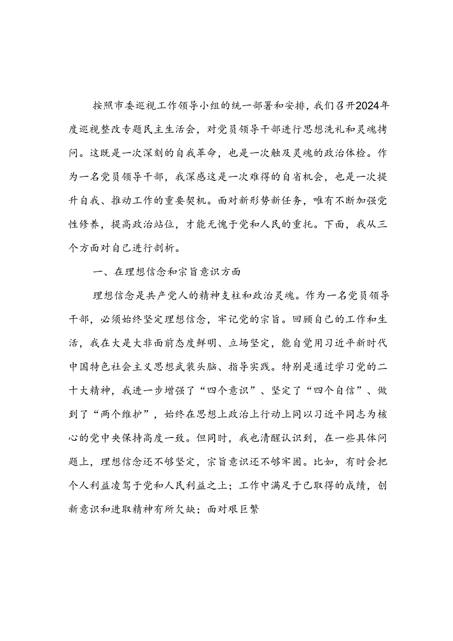 2024年巡视整改专题民主生活会党员干部自我剖析材料和县委书记在巡视整改专题民主生活会上的发言提纲.docx_第2页