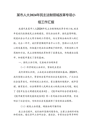 某市人大2024年民主法制领域改革专项小组工作汇报.docx
