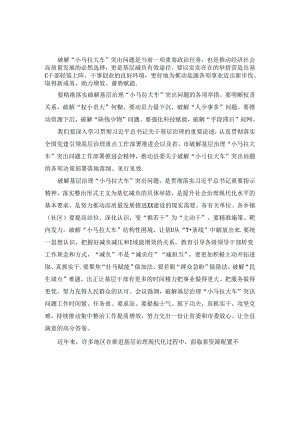 推进解决基层治理中“小马拉大车”难题工作交流会发言稿二.docx