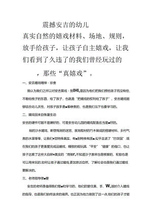 安吉游戏之我见.docx