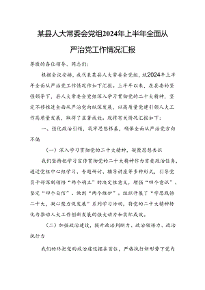 某县人大常委会党组2024年上半年全面从严治党工作情况汇报.docx