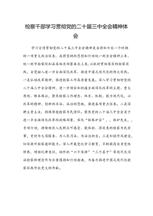 检察干部学习贯彻党的二十届三中全会精神体会.docx