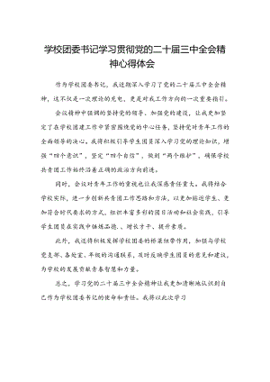 学校团委书记学习贯彻党的二十届三中全会精神心得体会.docx