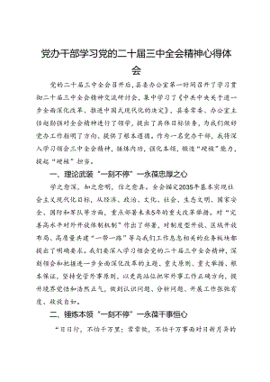党办干部学习党的二十届三中全会精神心得体会.docx