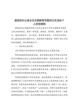 县政府办公室主任主题教育专题民主生活会个人发言提纲.docx