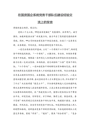 在国资国企系统党务干部队伍建设经验交流上的发言.docx