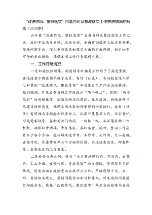 “改进作风、狠抓落实”自查自纠及整改落实工作推进情况的报告（2830字）.docx
