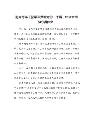 刑庭青年干警学习贯彻党的二十届三中全会精神心得体会.docx