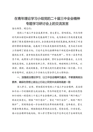 在青年理论学习小组党的二十届三中全会精神专题学习研讨会上的交流发言.docx