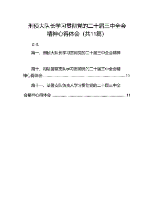 （11篇）刑侦大队长学习贯彻党的二十届三中全会精神心得体会范文.docx