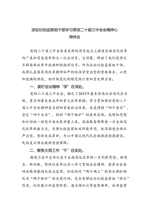 （9篇）派驻纪检监察组干部学习贯彻二十届三中全会精神心得体会集合.docx