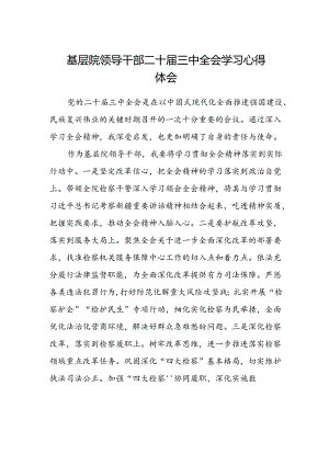 基层院领导干部二十届三中全会学习心得体会.docx