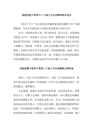 派驻纪检干部学习二十届三中全会精神研讨发言5篇（详细版）.docx