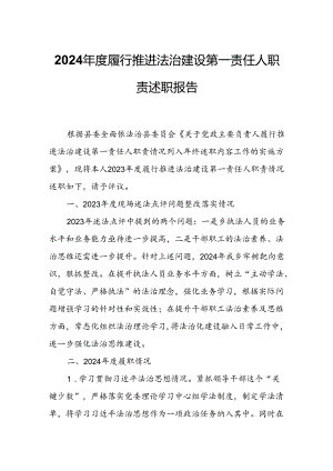 2024年度履行推进法治建设第一责任人职责述职报告.docx
