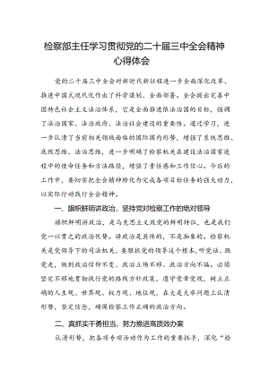 检察部主任学习贯彻党的二十届三中全会精神心得体会.docx