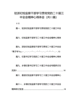 （11篇）驻派纪检监察干部学习贯彻党的二十届三中全会精神心得体会（详细版）.docx